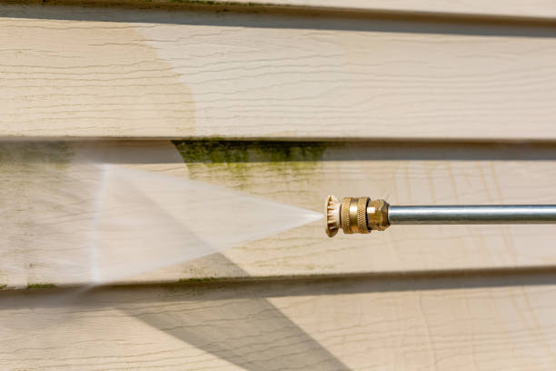 Best Deck Cleaning Services  in Davis, CA