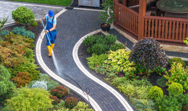 Best Pressure Washing Driveway  in Davis, CA