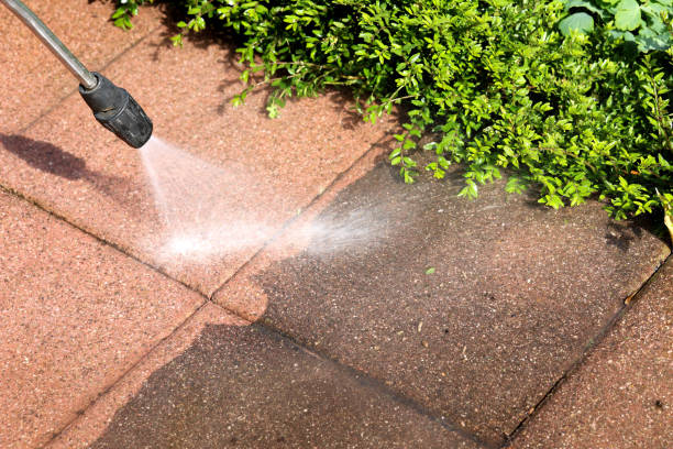 Best Residential Pressure Washing Services  in Davis, CA